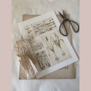 Ark med forskellige for�rsblomster med l�g