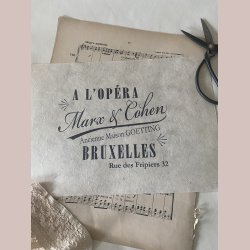 Overf�rselsark Marx &amp; Cohen