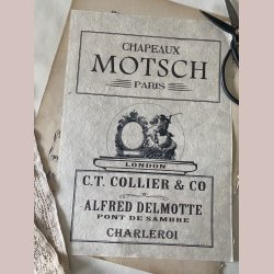 Overf�rselsark Chapeaux Motsch