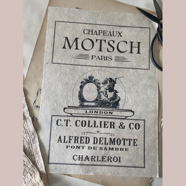Overf�rselsark Chapeaux Motsch