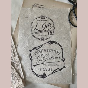 Overf�rselsark The high life