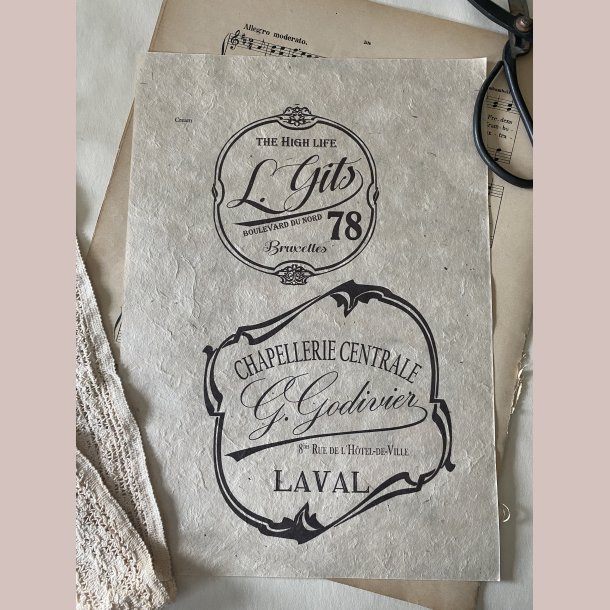 Overf�rselsark The high life